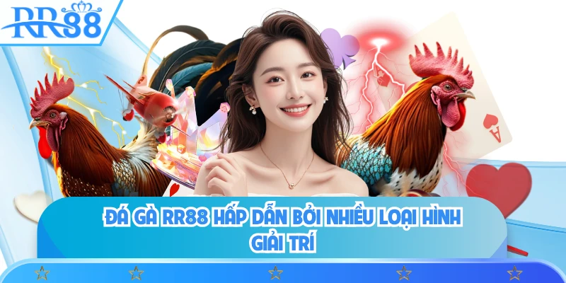 Đá gà RR88 hấp dẫn bởi nhiều loại hình giải trí