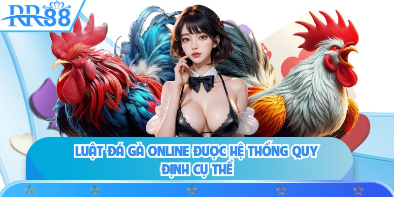 Luật đá gà online được hệ thống quy định cụ thể